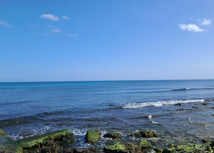 公寓 Domus Levante 巴里